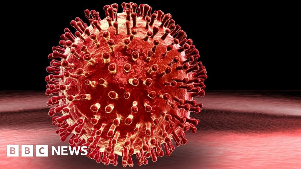 Viruses 'more dangerous in the morning' BBC News