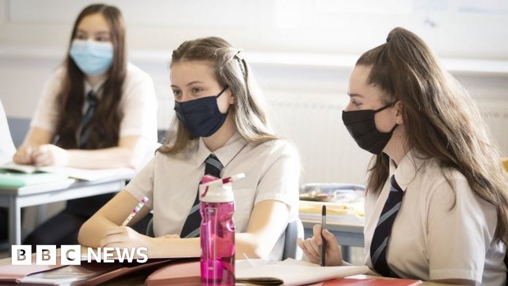 Online learning for some pupils in N. Ireland next term