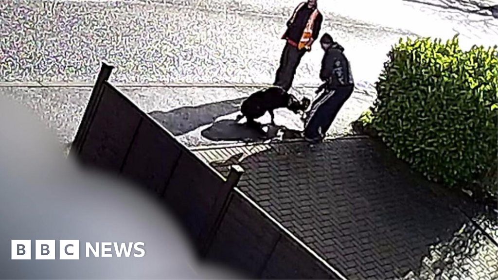 Pet dog mauled to death outside Milton Keynes home BBC News