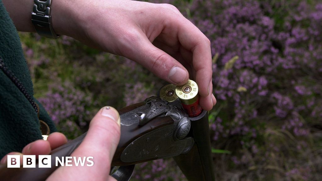 _117179035_dc164e8b-2049-460b-b588-7a6b0