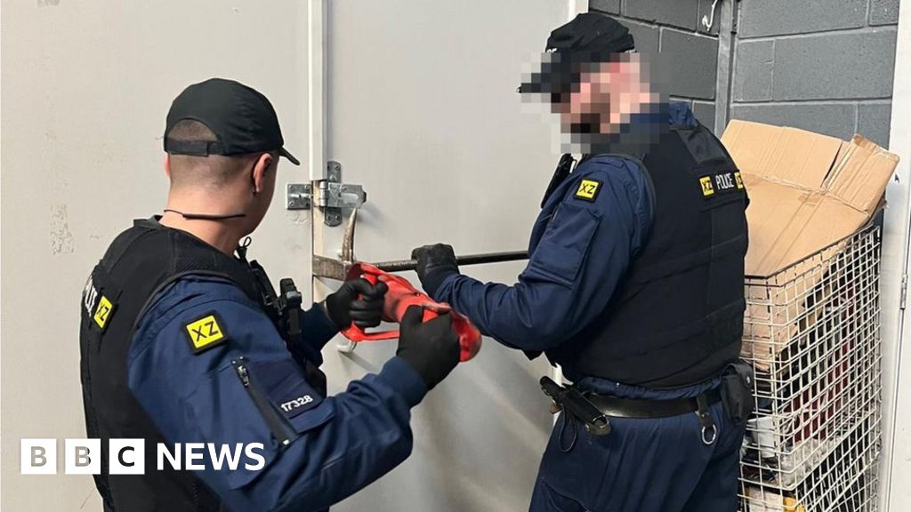 Police seize 70 tonnes of fake goods during Cheetham Hill raid - BBC News