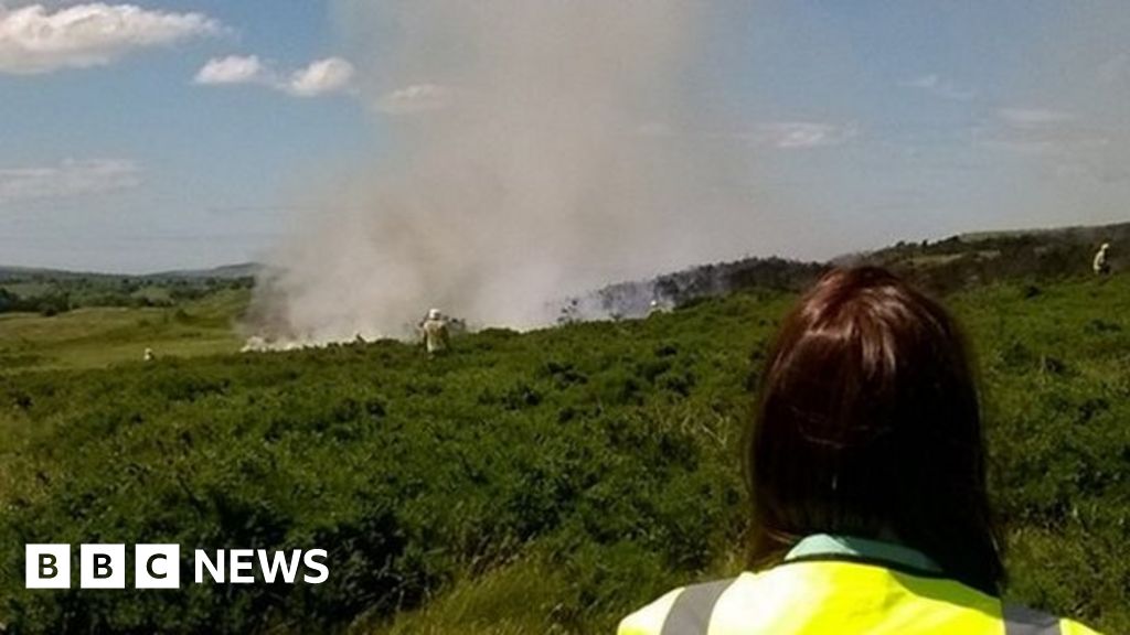 Spate of 'arson' attacks on protected land near Flint - BBC News