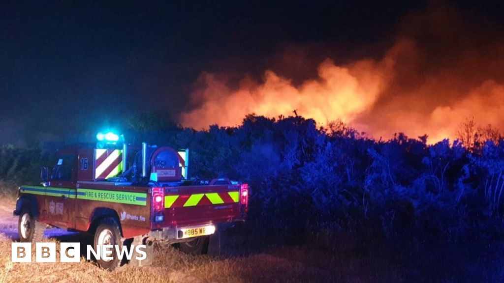 Gosport fire Heathland destroyed at Browndown Ranges BBC News