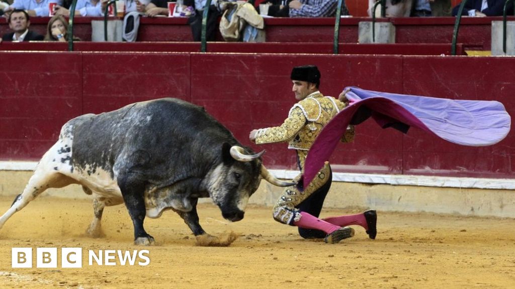 Catalan Bullfights Spanish Top Court Overturns Ban Bbc News