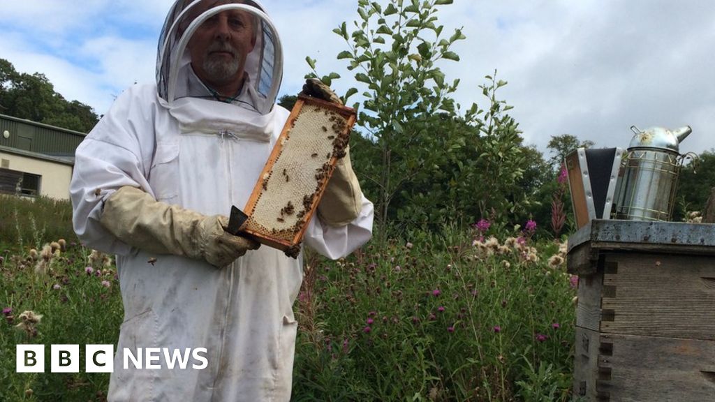 Edinburgh Zoo is a hive of activity for wouldbe beekeepers BBC News