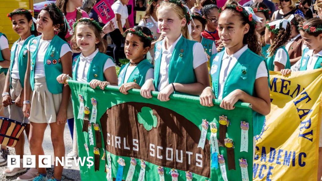 Girl Scouts join protest over sale of.org domain thumbnail