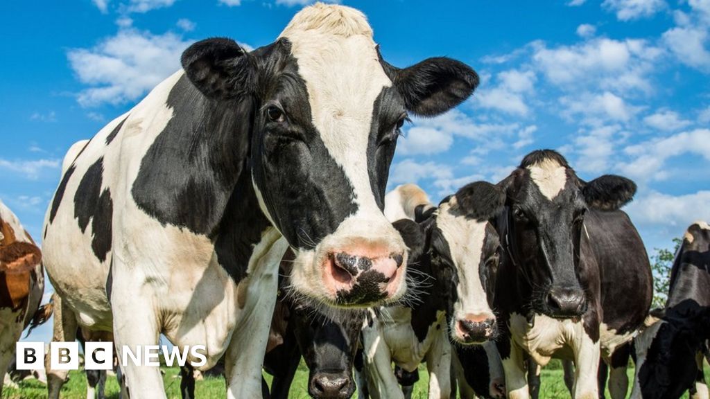 UK farms plan for going 'carbon neutral'