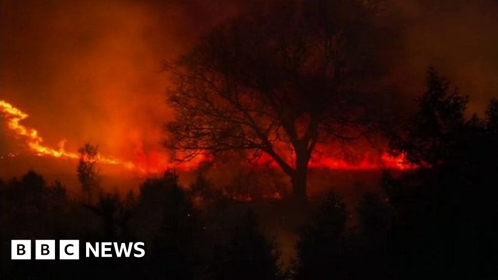 Number of grass fires 'dramatically reduced' in Wales - BBC News