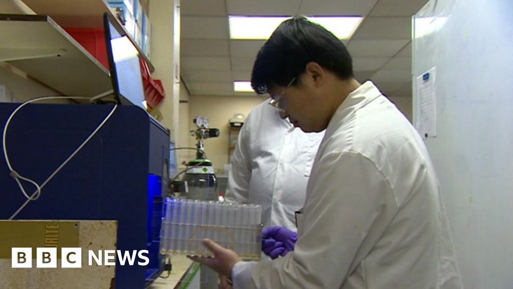 'Smart' insulin could drastically reduce injections BBC News