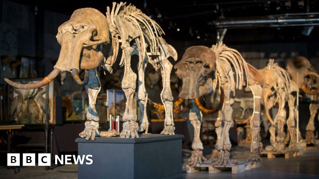 DNA may hold clues to extinct animal lifespan thumbnail