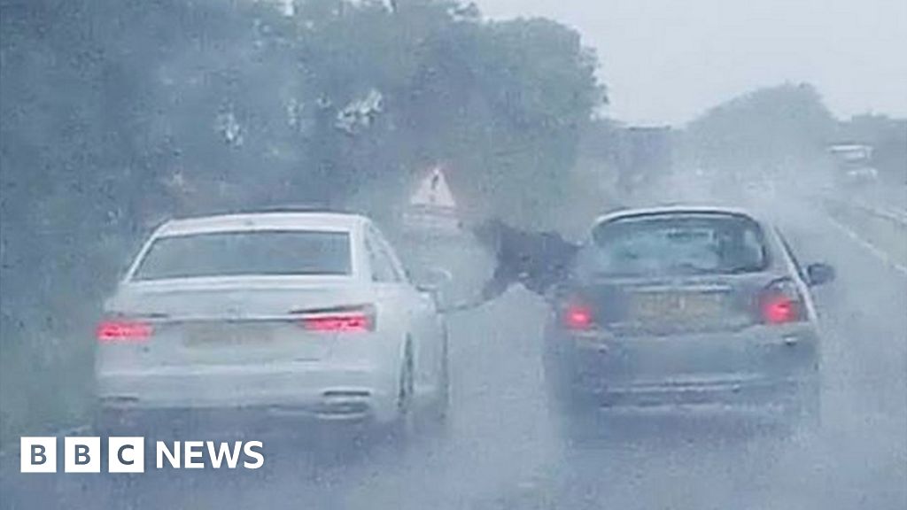 Lincolnshire Police warn man seen ‘cleaning’ car moving at 60mph