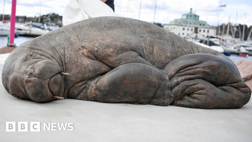 Hvalross Freya drept av Norge mottar skulptur fra Oslo