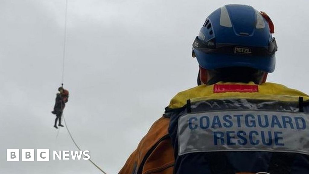 Charmouth: Helicopter rescues three people and dogs cut off by tide 