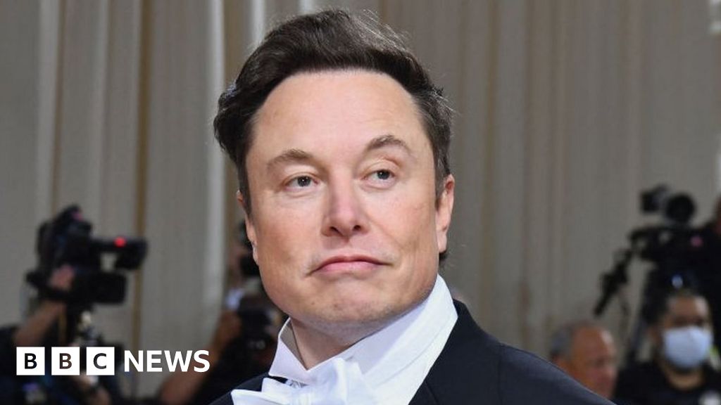 Elon Musk denies affair with Google co-founder Sergey Brins wife photo