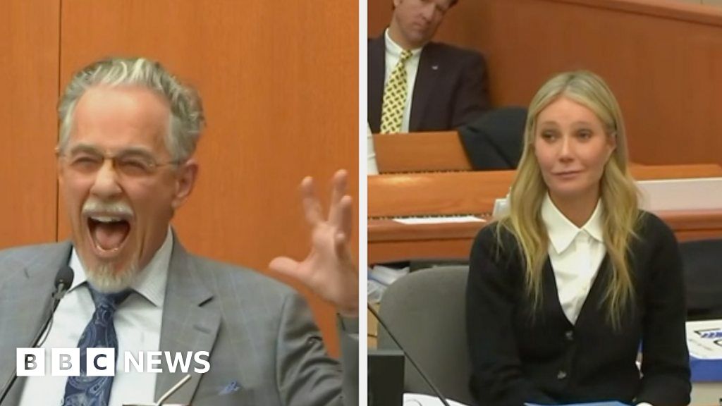 Paltrow accuser heard 'bloodcurdling scream'