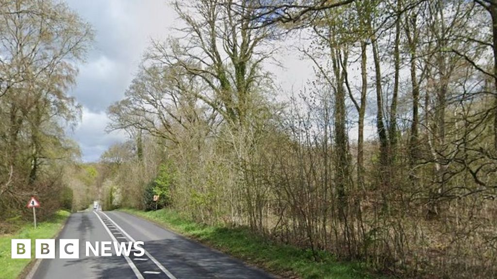 老婦人在威爾特郡開車撞樹後死亡