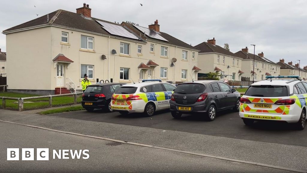 Shiney Row: Man bailed after suspected American bully XL attack