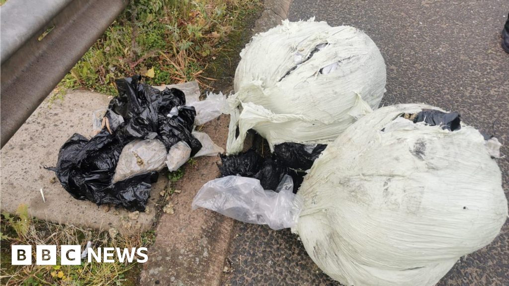 Drugs strapped to lorry roof fall off on M1 in Belfast