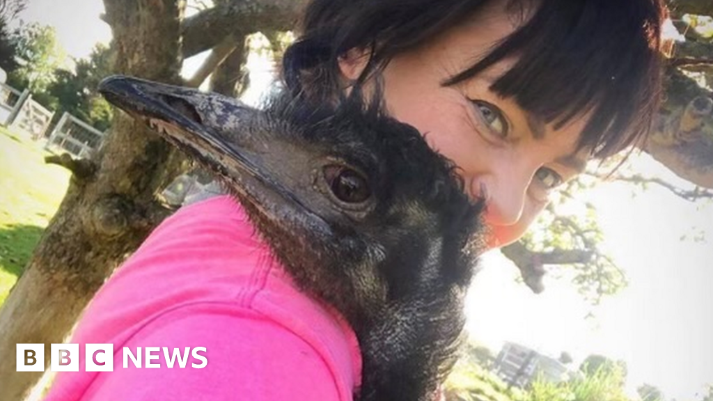 Kent charity fined over escape of 'ladies' man' emu 