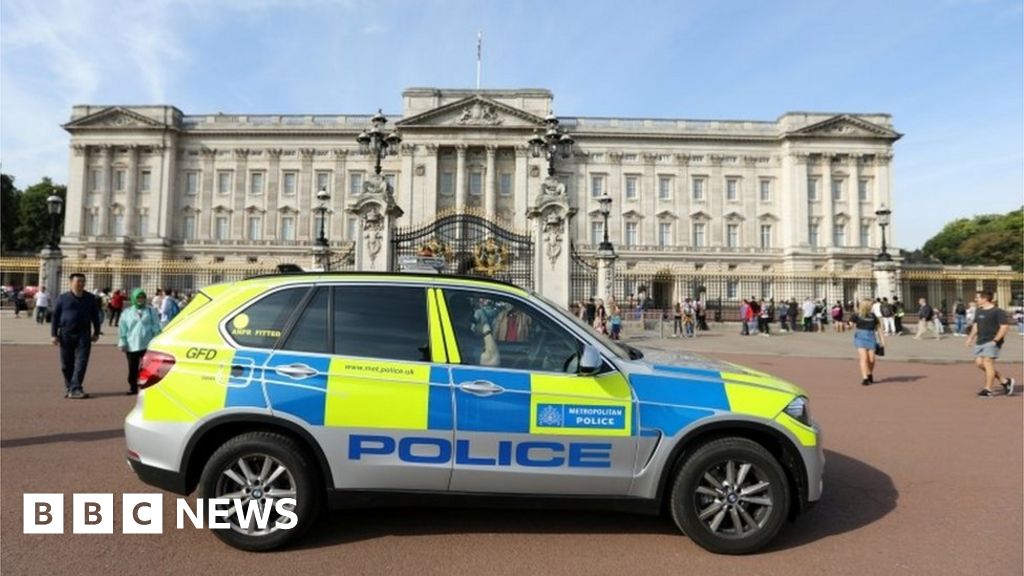 Second arrest over Buckingham Palace 'terror incident' BBC News