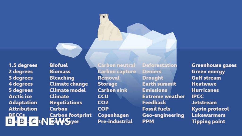 Climate change What do all the terms mean? BBC News