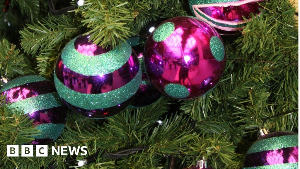 Guernsey States encouraging Christmas trees recycling BBC News