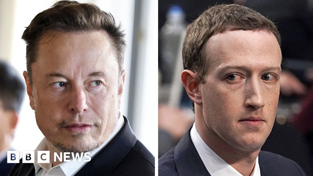 Zuckerberg Vs Musk: Disputes Heat Up Over Billionaire Cage Fight