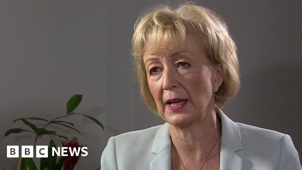 Tory Leadership Leadsom Says Cv Criticism Is Ridiculous Bbc News 
