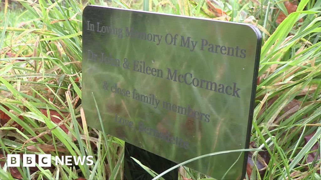 Brian's Wood Memory trees provide 'special moment' for bereaved