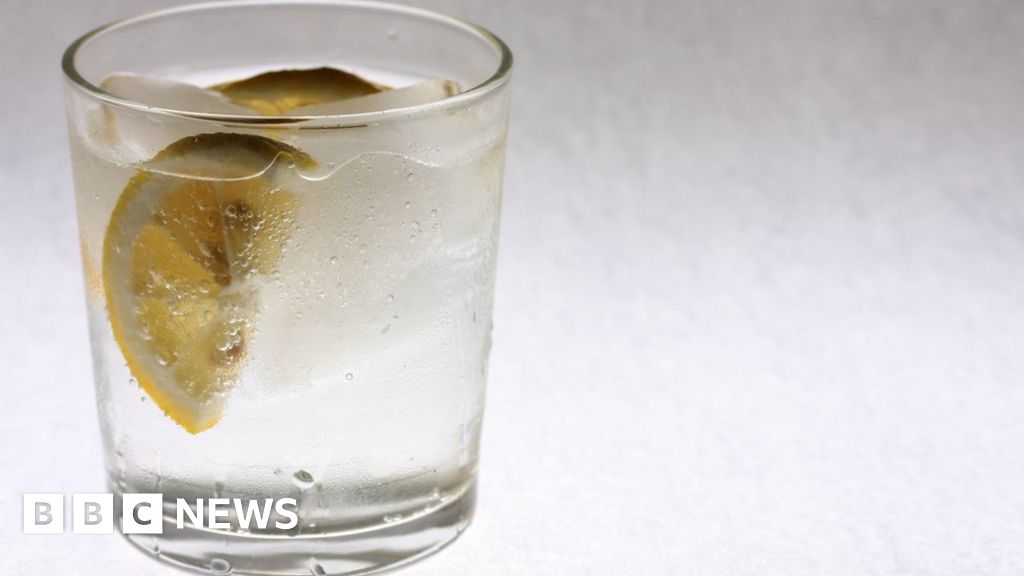 Gin is safe Juniper added to national seed bank BBC News