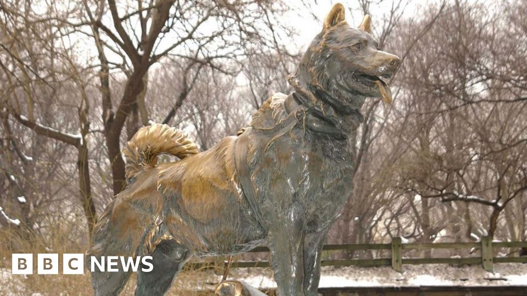 New study reveals genes that powered the famous Balto the sled dog
