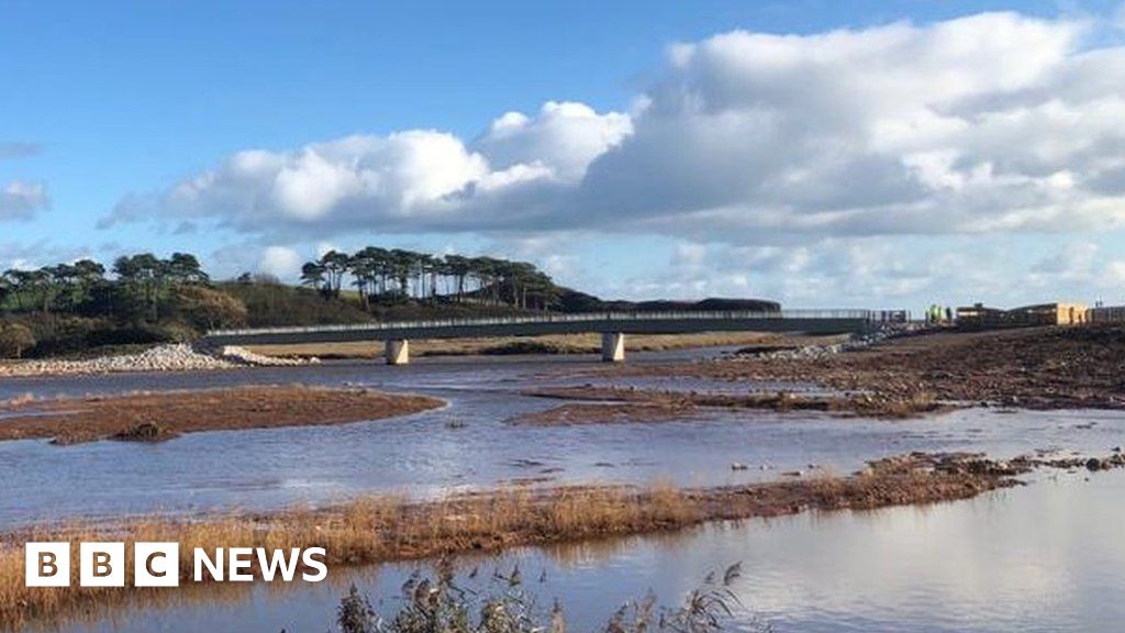 Extinct' fly found in Devon nature reserve - BBC News