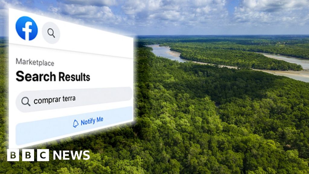 Facebook Rainforest Ads Inquiry Ordered Into Amazon Land Sales c News