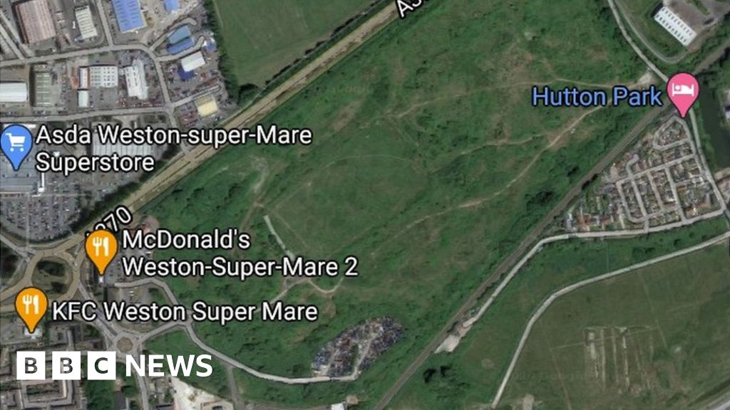 Call to scrap WestonsuperMare homes for 'people's forest' BBC News