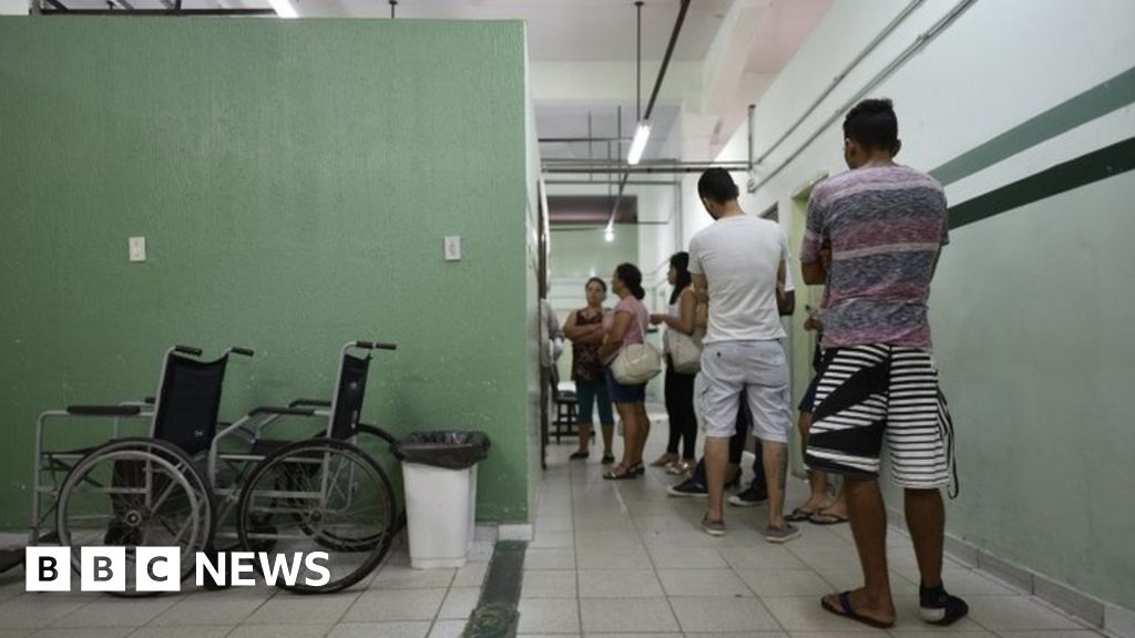 Brazil sees sharp rise in yellow fever cases BBC News