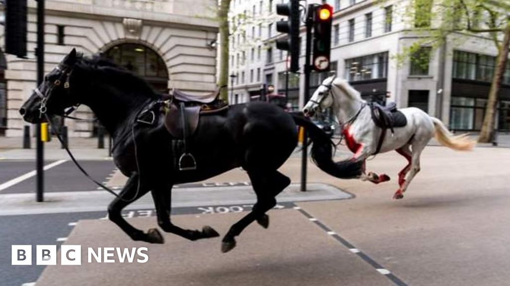 Watch: Cavalry horses bolt, causing chaos in London