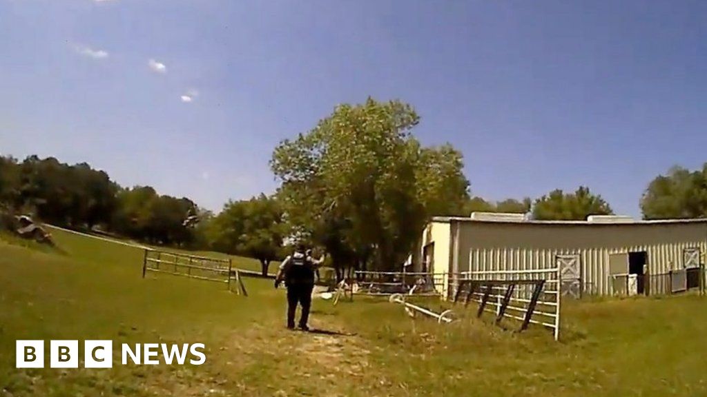 WATCH: Police mistake goat for man yelling 'help'