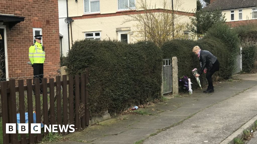 Ipswich deaths Tributes to 'lovely' mother and son found dead at home BBC News