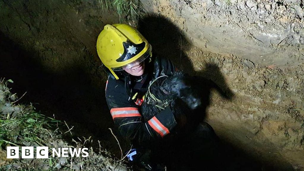 Firefighters rescue dog stuck in pipe for six hours in Buckworth 