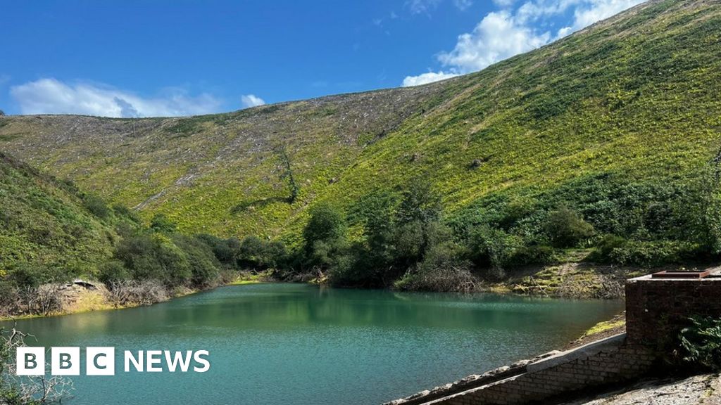 TikTok Brombil reservoir in Margam sells for £15,000 