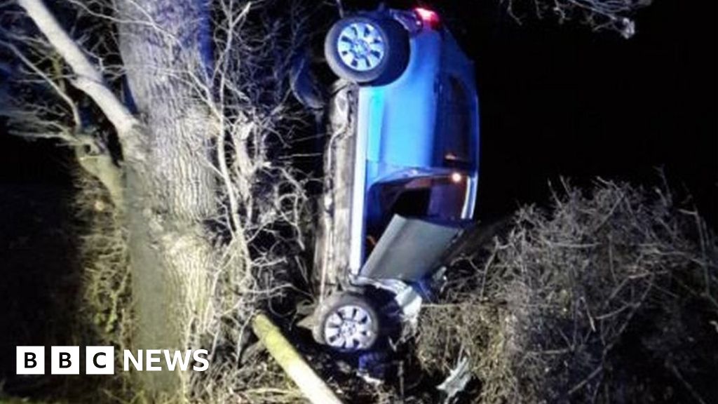 Shrewsbury crash leaves car vertical in tree BBC News