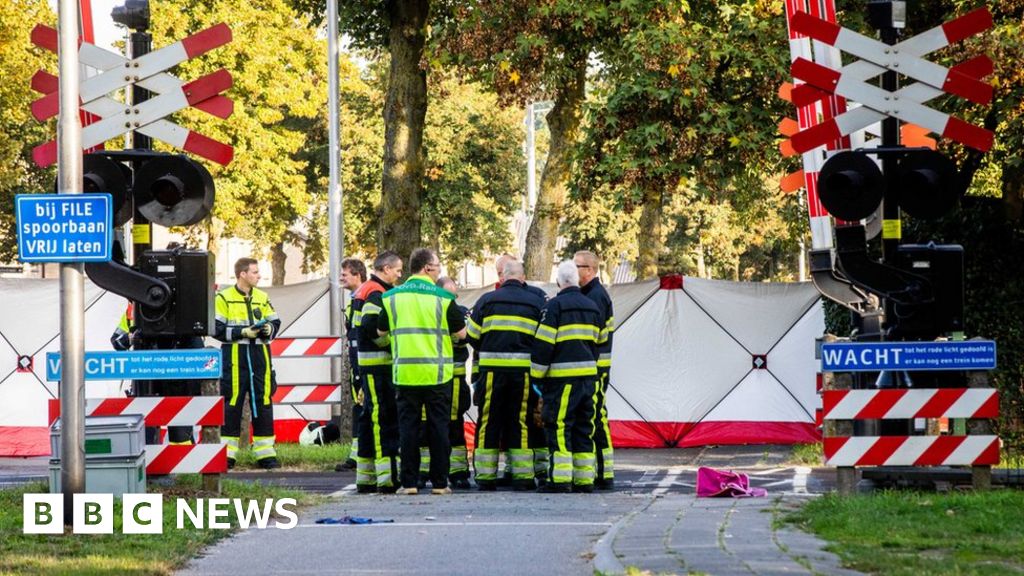 Children in cart killed in Dutch rail crash