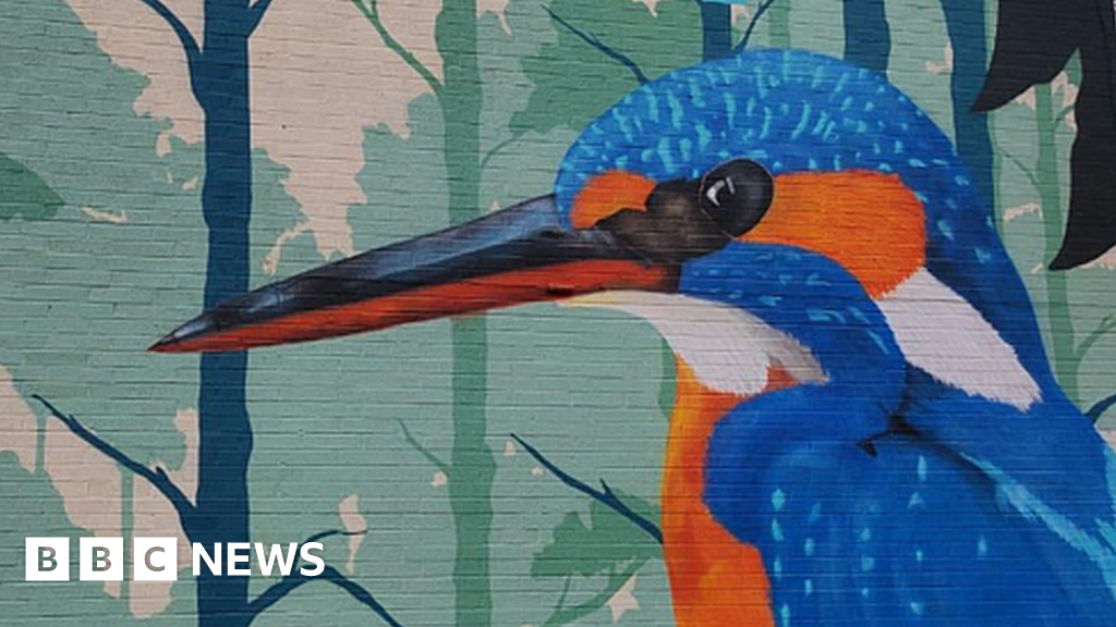 Levenshulme street art trail launched with kingfisher mural