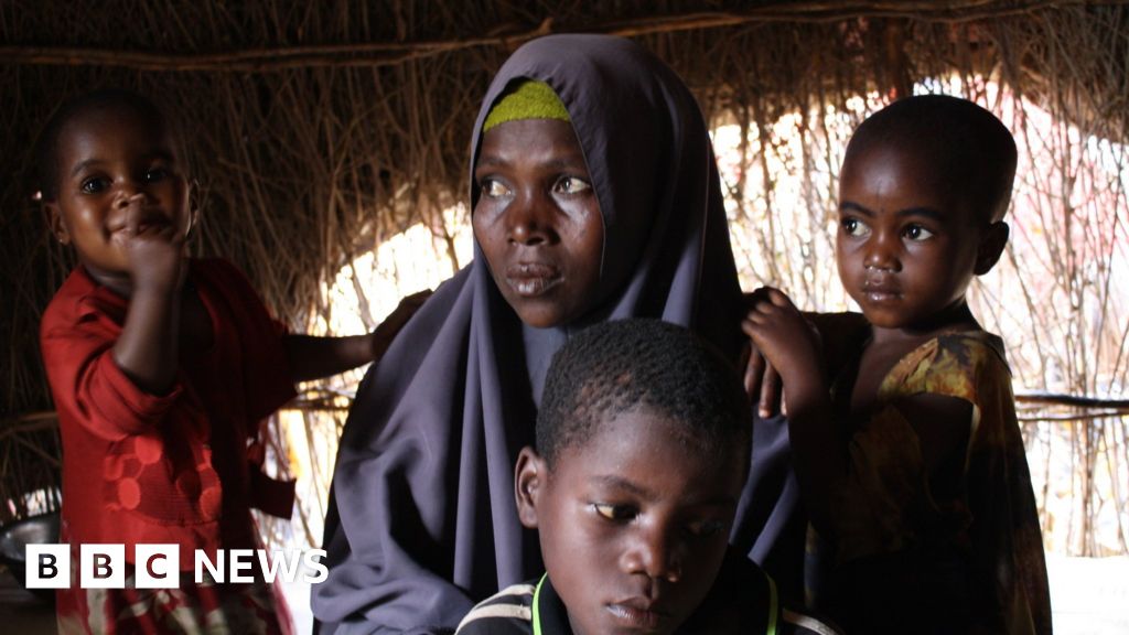 Somalia drought: The fight for survival as famine looms - BBC News