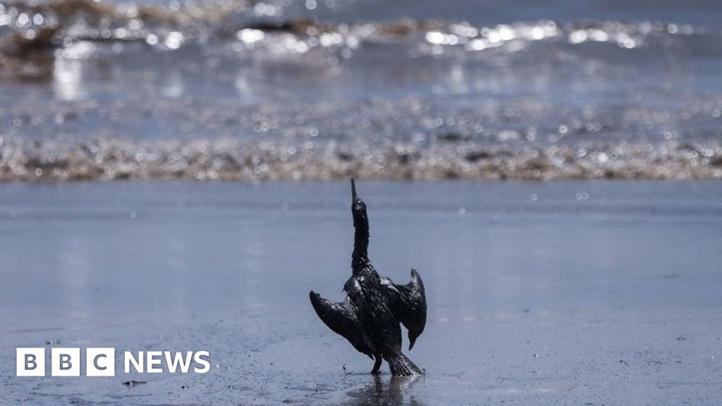 Peru to sue Repsol for .5bn over oil spill