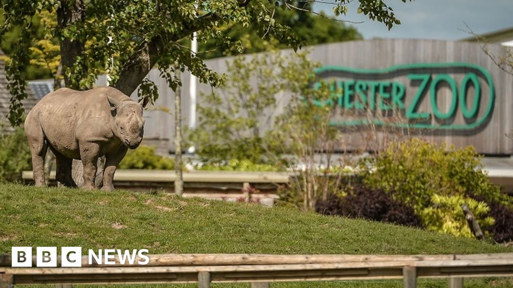 Chester Zoo: Covid funding issues threaten endangered animals - BBC News