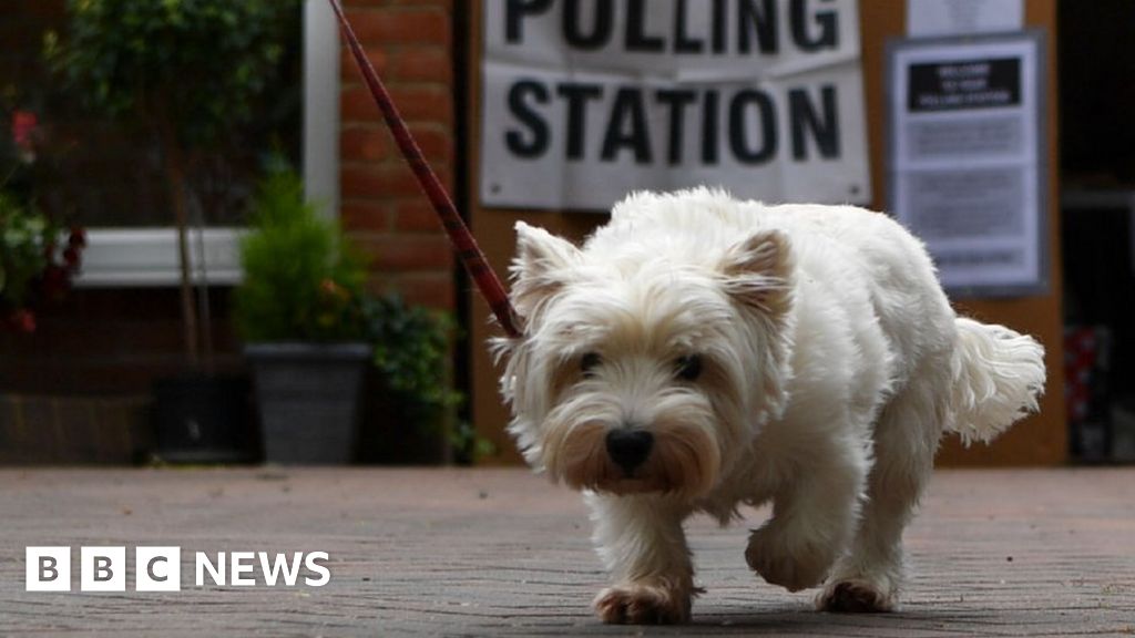 What elections does Liverpool City Region have in 2024? BBC News