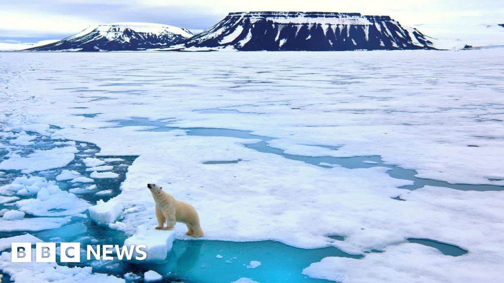 COP27: Share your climate questions