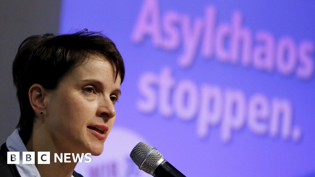 Profile: German right-wing AfD leader Frauke Petry - BBC News