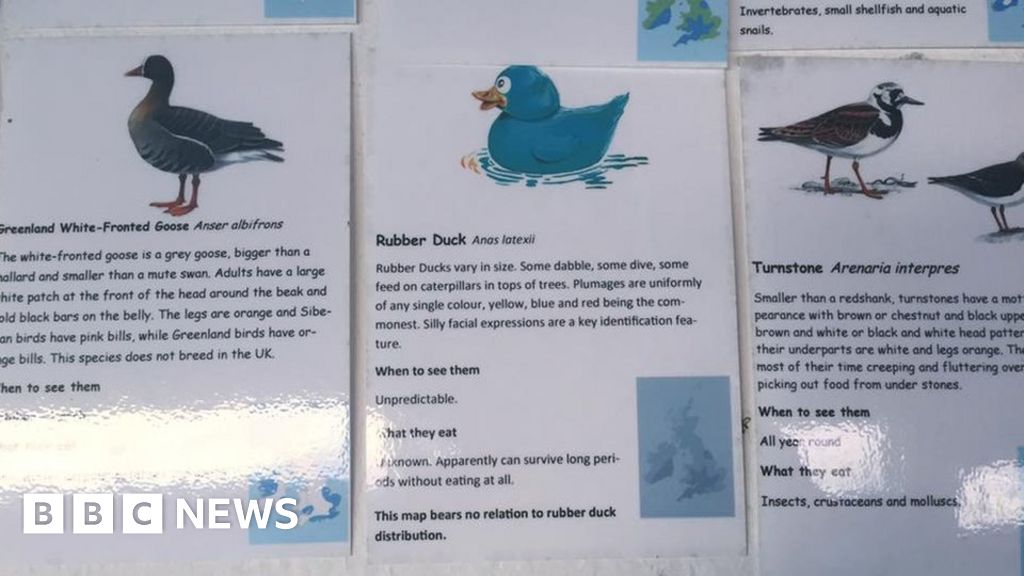 smart duck dabble speaker